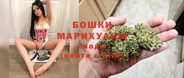 твердый Инта