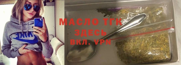 твердый Инта