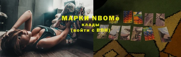 мдпв Инсар