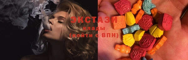 мдпв Инсар