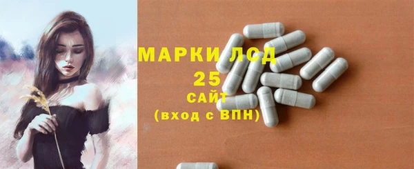 твердый Инта