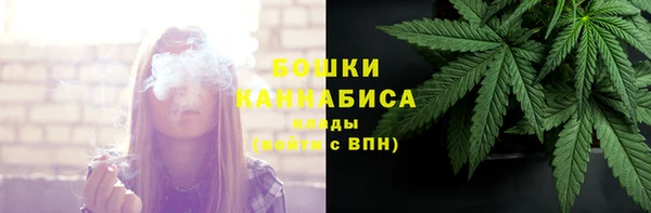 твердый Инта
