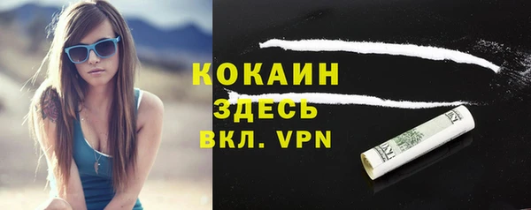 мдпв Инсар