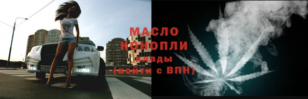 мдпв Инсар