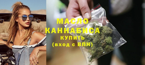 твердый Инта